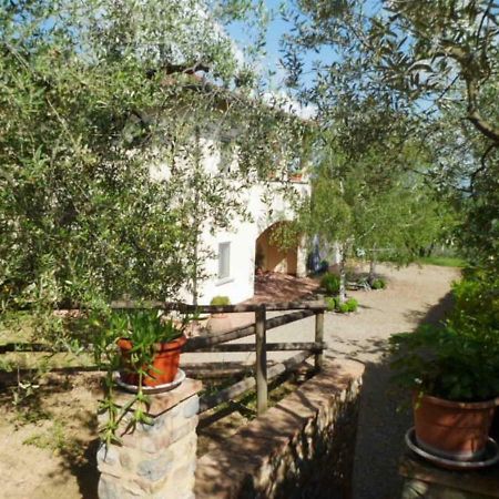 Casa Le Betulle Guest House Montespertoli Exterior photo