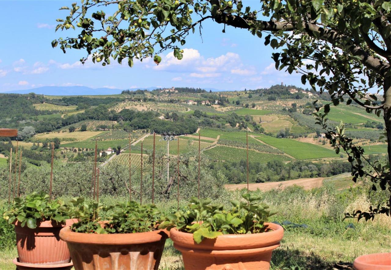Casa Le Betulle Guest House Montespertoli Exterior photo